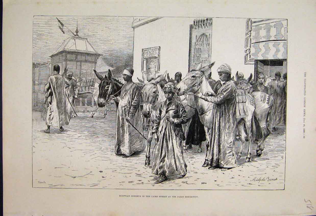 Original Old Antique Print Egyptian Donkeys Cairo Paris Exhibition 1889 19th