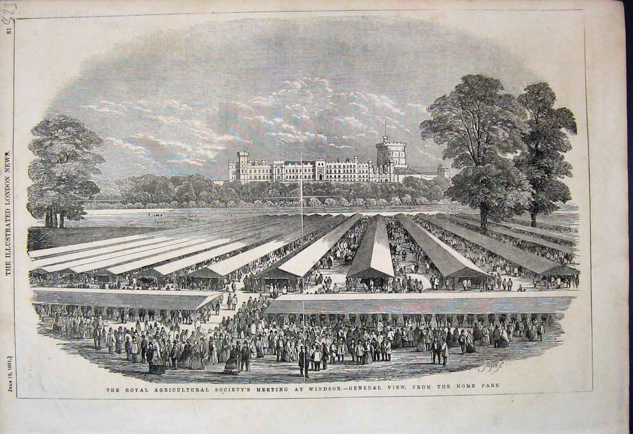 Original Old Antique Print Windsor View Agricultural Show Castle 1851 Sketch