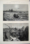 Original Old Antique Print 1883 Cholera Egypt Its Source & Cause Dead Cattle Sea