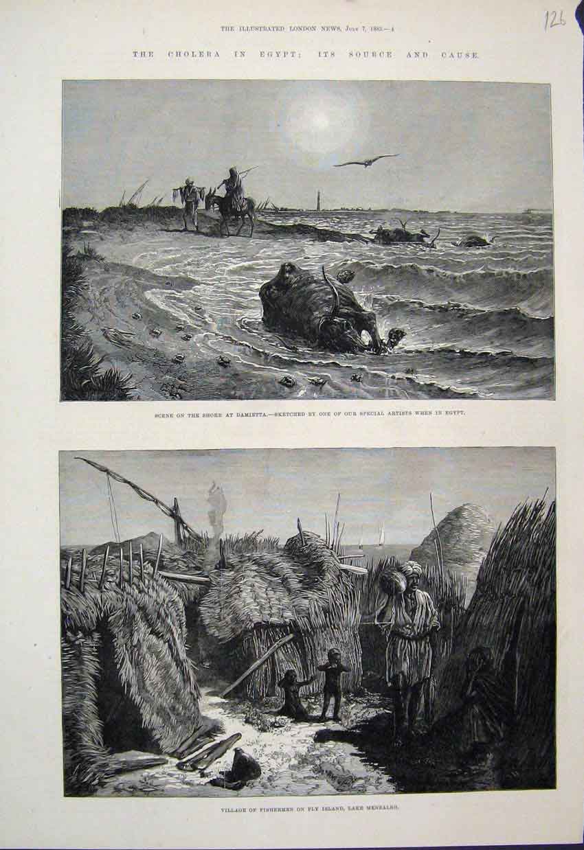 Original Old Antique Print 1883 Cholera Egypt Its Source & Cause Dead Cattle Sea
