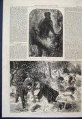 Original Old Antique Print 1867 New Monkey Regents Park Zoo Days Ferreting Dogs