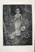 Original Old Antique Print 1882 Virginie Lady Fan Sitting Bamboo Fine Art 19th