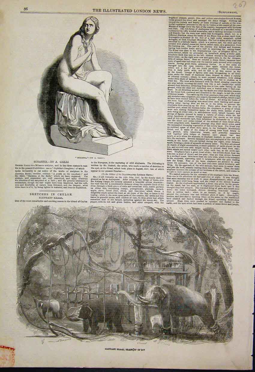 Original Old Antique Print 1851 Elephant Kraal Ceylon Watt Design Loco Victorian