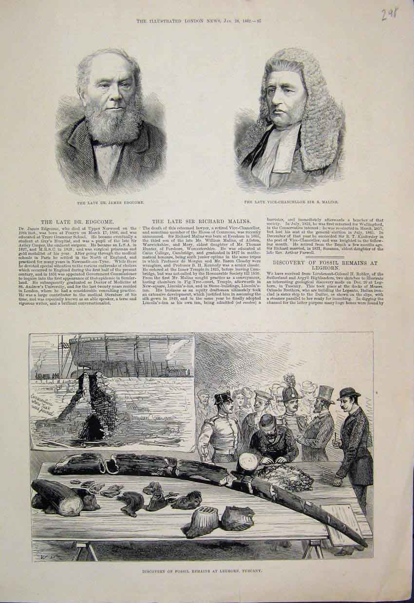 Original Old Antique Print 1882 Discovery Ancient Elephant Tusk Leghorn Tuscany