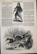 Original Old Antique Print 1851 Earl Ardunel Surrey Willis Rooms St James Sketch