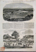 Original Old Antique Print 1851 Royal Agricultural Show Windsor Cattle Victorian