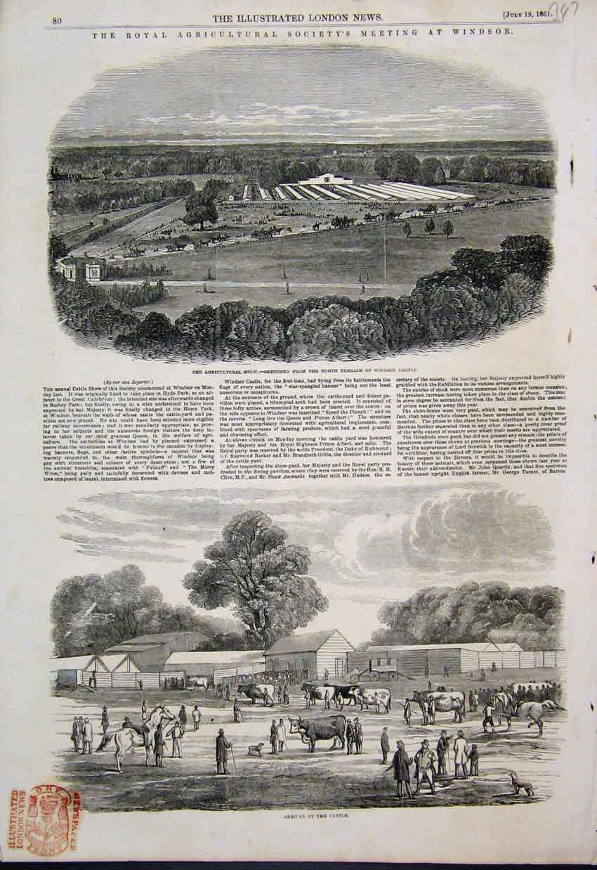 Original Old Antique Print 1851 Royal Agricultural Show Windsor Cattle Victorian