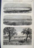 Old Antique Print 1864 Floods Melbourne Emerald Hill Prince'S Bridge Punt 19th
