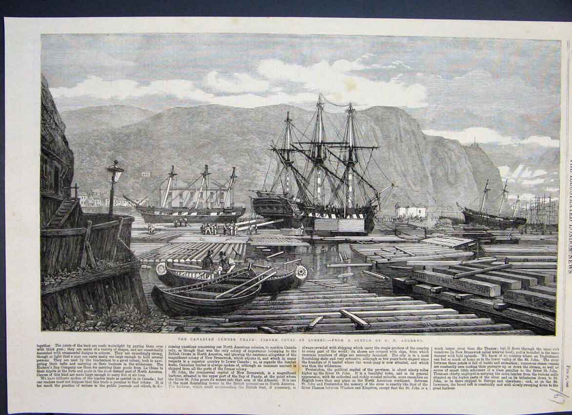 Original Old Antique Print 1863 Canadian Lumber Trade Timber Coves Quebec 19th
