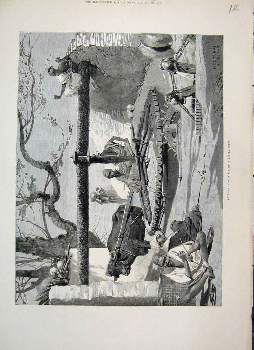 Original Old Antique Print 1882 Sakieh In Middle Egypt Bucket Bearing Water 19th