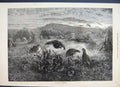 Original Old Antique Print 1871 September Month Hay Sheaves Partridges Victorian