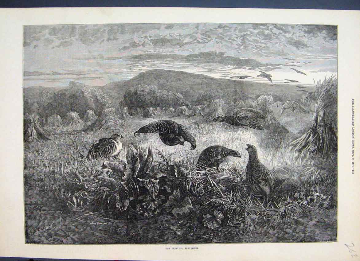 Original Old Antique Print 1871 September Month Hay Sheaves Partridges Victorian