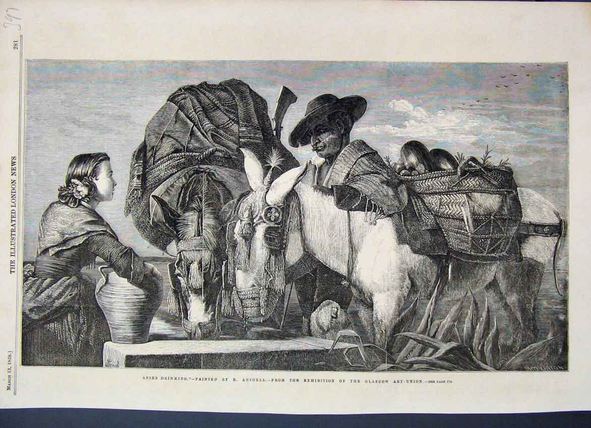 Original Old Antique Print 1858 Asses Drinking Ansdell Glasgow Art Union 19th