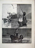 Original Old Antique Print 1894 Sea Fishing Off Brittany Coast Conger Mullet