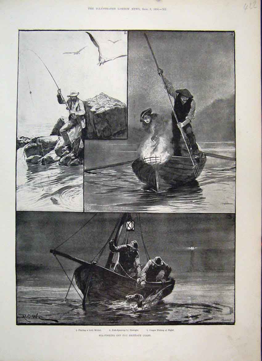 Original Old Antique Print 1894 Sea Fishing Off Brittany Coast Conger Mullet