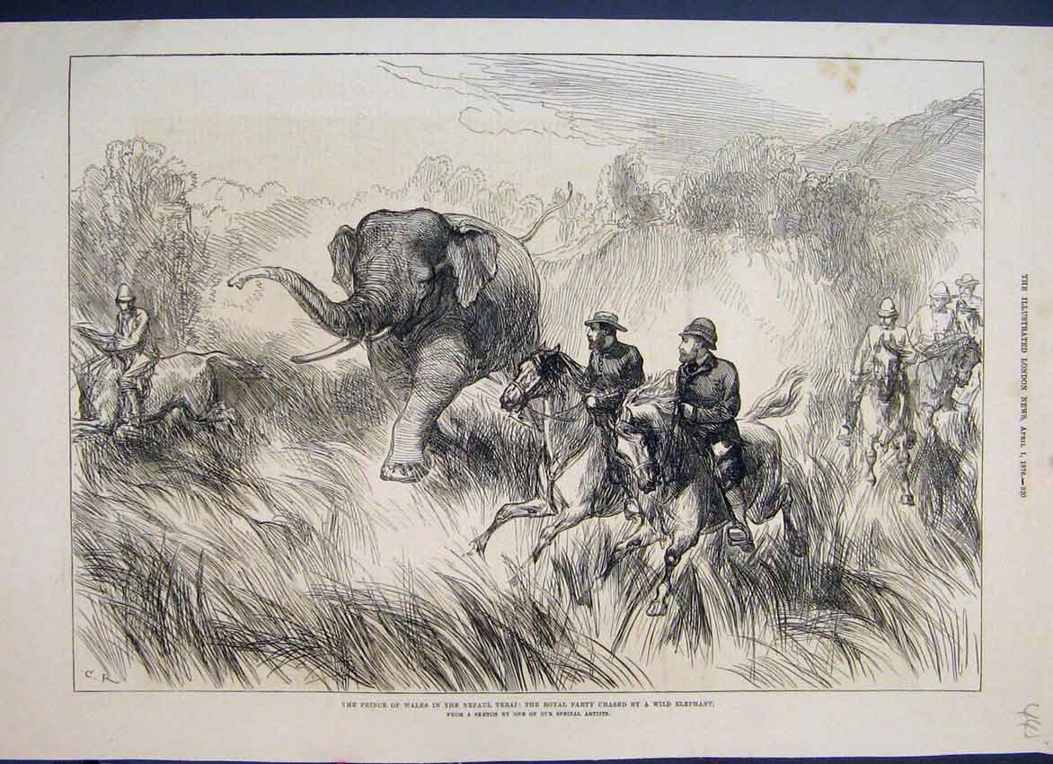 Original Old Antique Print 1876 Nepaul Royal Party Chased Wild Elephant 19th