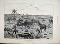 Original Old Antique Print 1882 Egypt Search War Dead Wounded Kassassin 19th