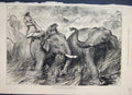 Original Old Antique Print 1876 Tame Elephants Hunting Wild Ones 19th