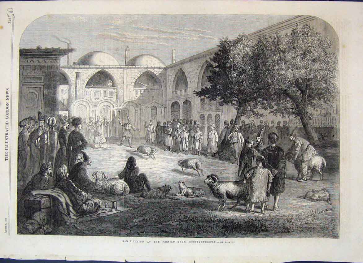 Original Old Antique Print 1866 Ram Fighting Persian Khan Constantinople 19th