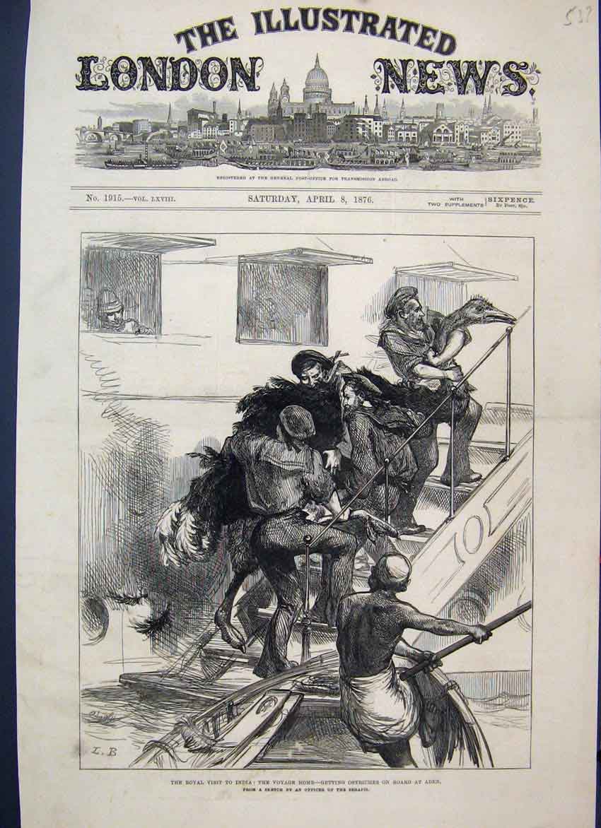 Original Old Antique Print 1876 Royal Trip India Ostrich Passengers Aden 19th