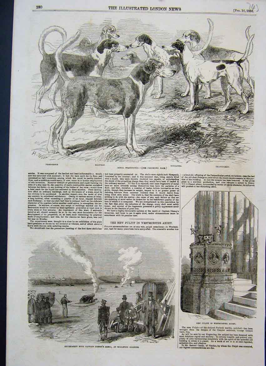 Original Old Antique Print 1856 Royal Staghounds Captain Disney Shell Victorian