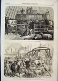 Original Old Antique Print 1865 Rotterdam Steamer Foreign Cattle Docks 19th