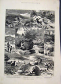 Original Old Antique Print 1883 Fishing Teign Cattle River Countryside 19th