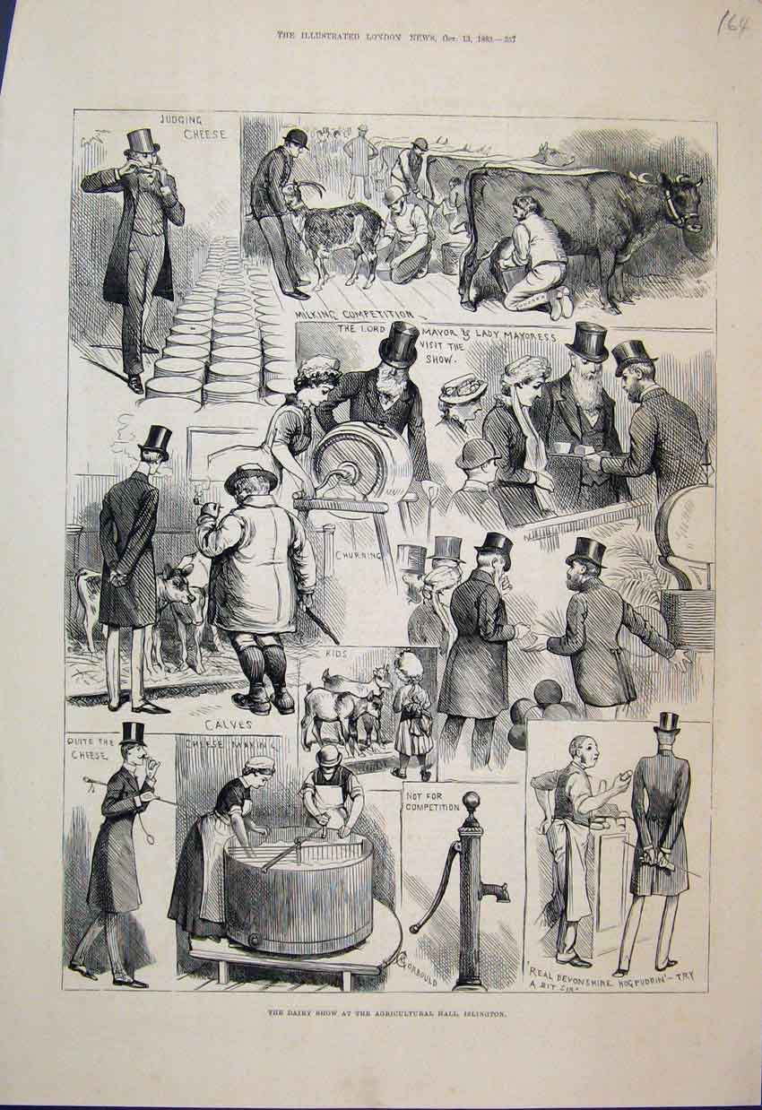 Original Old Antique Print 1883 Dairy Show Agricultural Hall Islington 19th