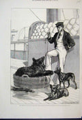 Original Old Antique Print 1876 Prince Serapis Black Bear Tailless Dog 19th