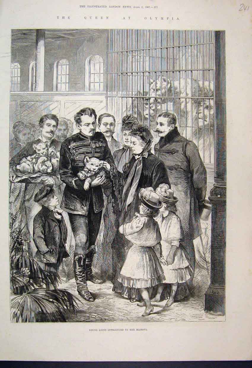 Original Old Antique Print 1887 Queen Olympia Young Lions Children Victorian