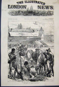 Original Old Antique Print 1879 Zulu War Fort Ekowe Horses Cattle Sketch 19th