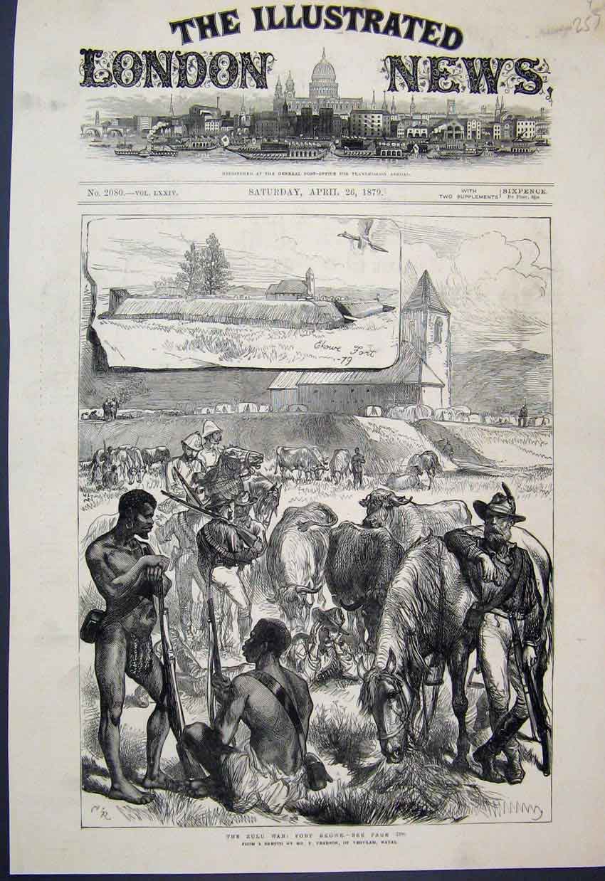 Original Old Antique Print 1879 Zulu War Fort Ekowe Horses Cattle Sketch 19th