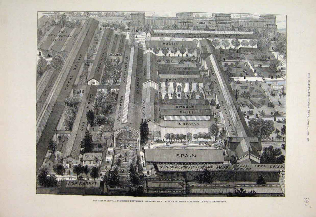 Original Old Antique Print 1883 Fisheries Exhibition South Kensington Victorian