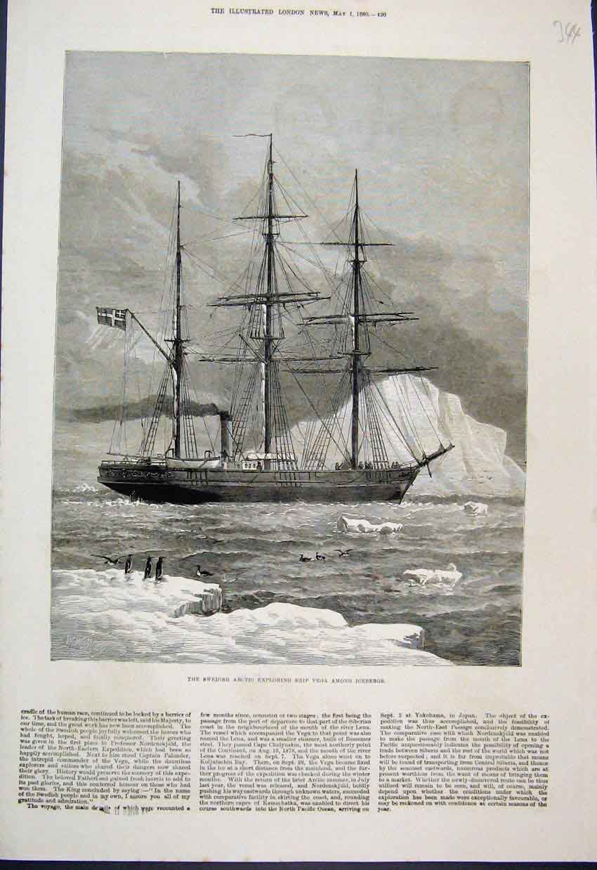 Original Old Antique Print 1880 Swedish Artic Ship Vega Icebergs Penguin 19th
