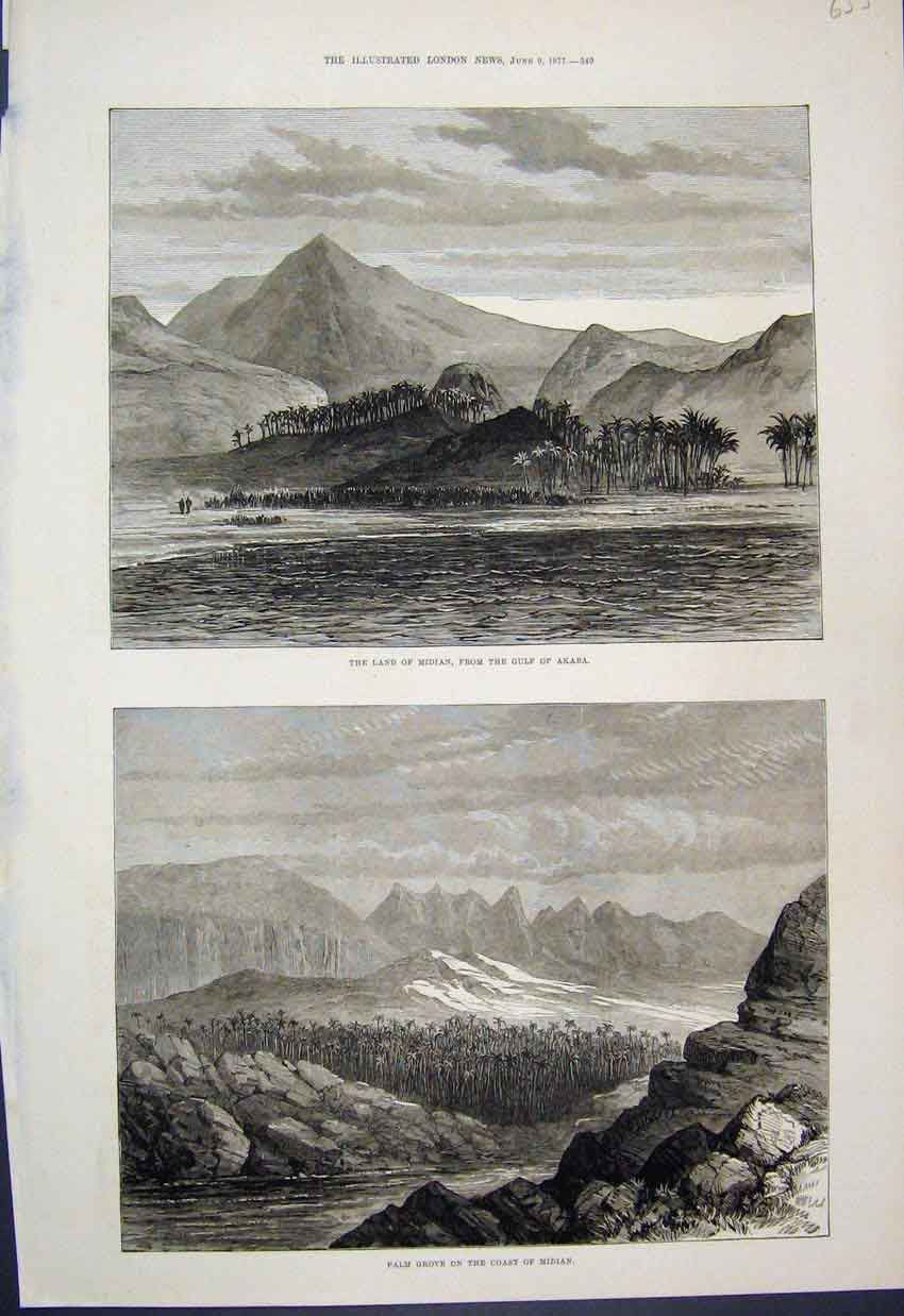 Original Old Antique Print 1877 Midian Gulf Akaba Palm Grove Scenes Victorian