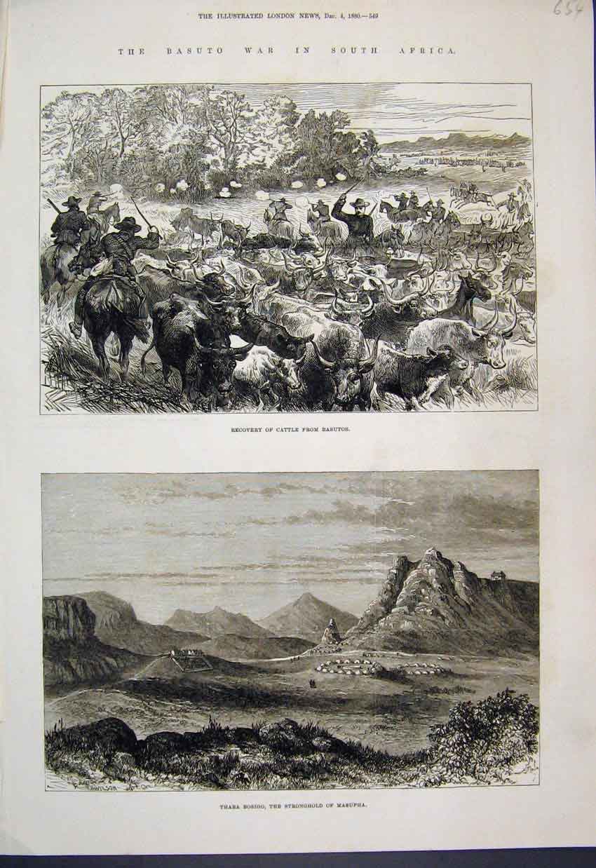 Old Antique Print 1880 Cattle Basutos Thhaba Bosigo Masupha South Africa 19th