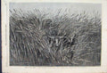 Old Antique Print 1865 Grass Desert Travel South Africa Cattle Man Sketch 19th