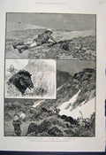 Original Old Antique Print 1887 British Mission Morocco Sport Atlas Mountains