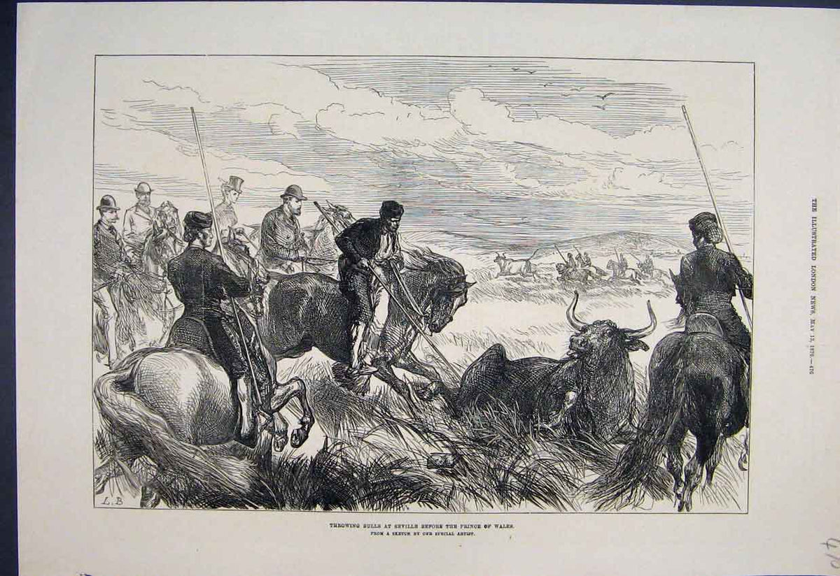 Original Old Antique Print 1876 Throwing Bulls Seville Prince Wales Sketch 19th