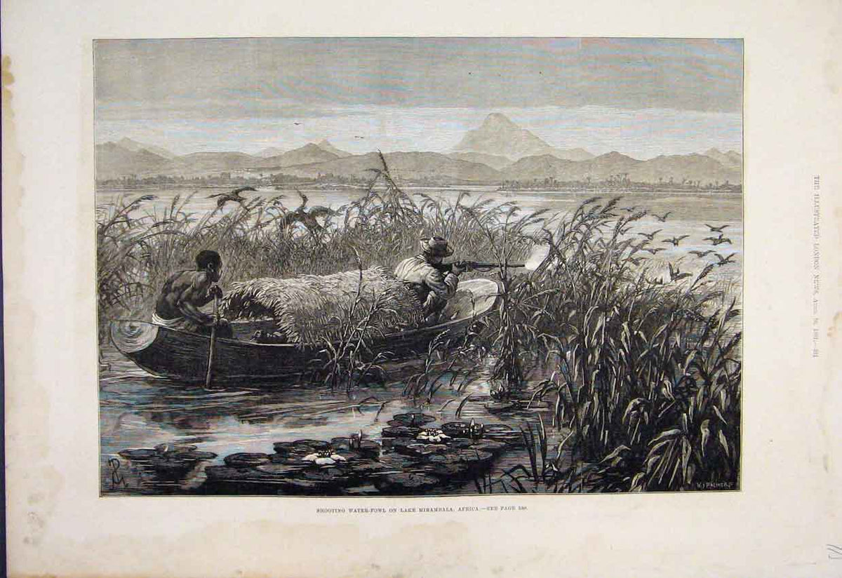 Original Old Antique Print 1881 Shooting Water Fowl Lake Mirambala Africa 19th