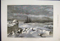Original Old Antique Print 1876 North Pole Expedition Hms Alert Frozen 19th