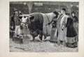 Original Old Antique Print 1883 Prize Bull Ladies Show 19th Century