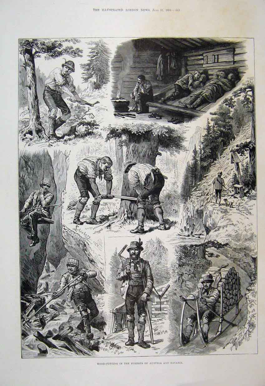 Original Old Antique Print 1881 Wood Cutting Forest Austria Bavaria Logs 19th