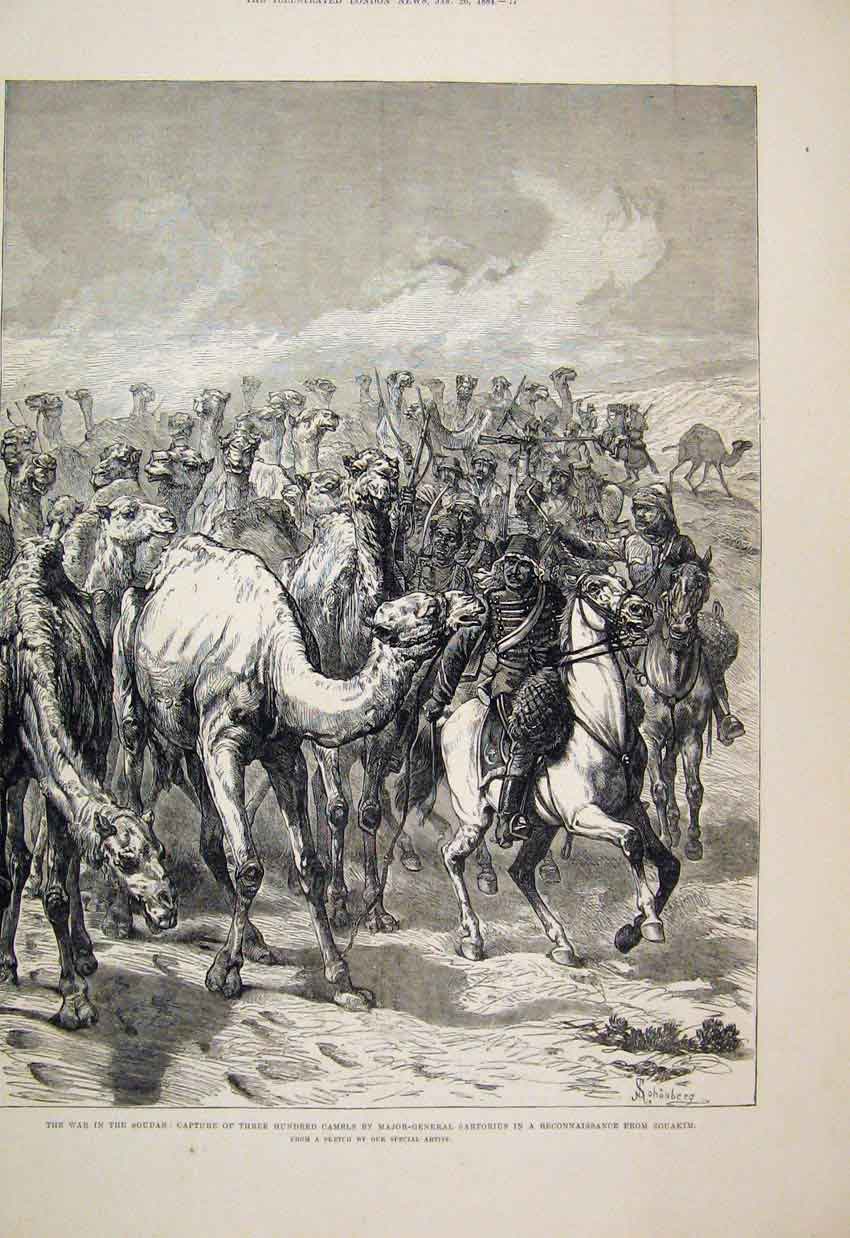 Old Antique Print 1884 War Soudan Capture Camels Sartorius Souakim Sketch 19th