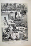 Old Antique Print 1889 Provincs Brazil Alagoas Gala Dress Fruit Sellers 19th