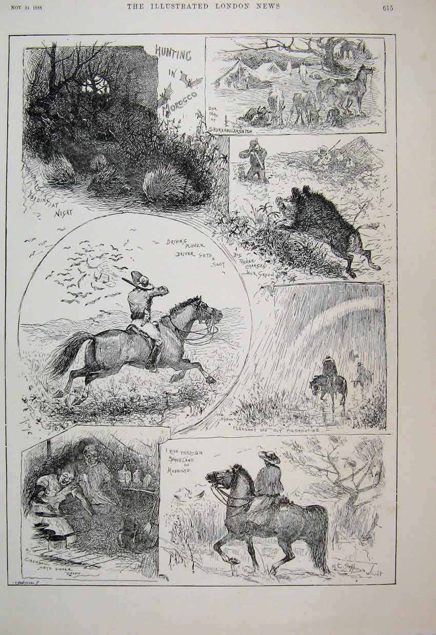 Original Old Antique Print 1888 Hunting Morocco Pig Shooting Plover Tusker 19th