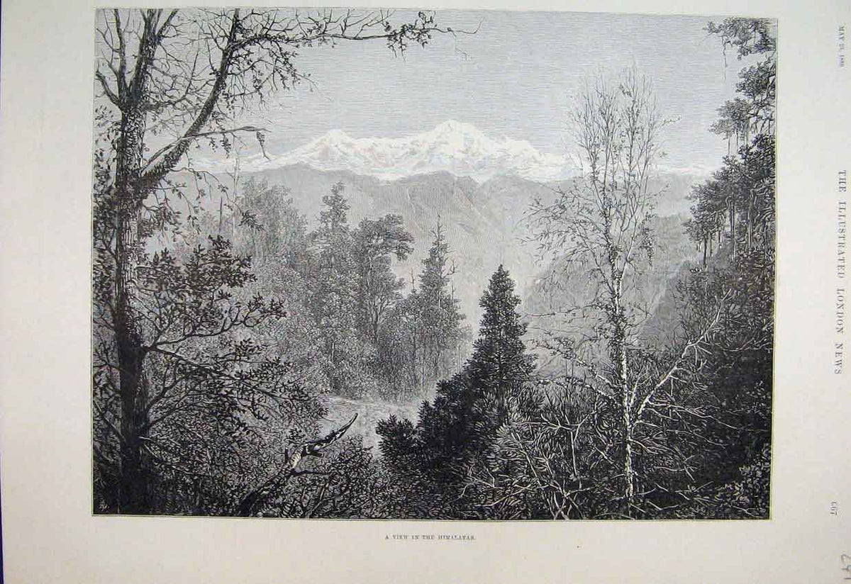 Original Old Antique Print 1889 View Himalayas Trees Mountain Scene Victorian