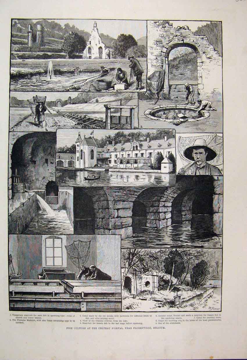 Original Old Antique Print 1893 Concert Queens Hall Langham Palace Prince Wales