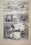 Original Old Antique Print 1889 Days Shooting Buchan Aberdeenshire Animals 19th