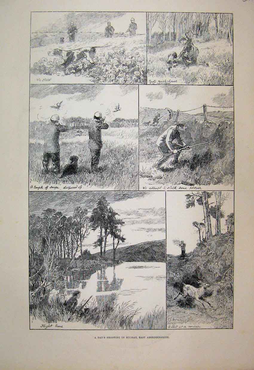 Original Old Antique Print 1889 Days Shooting Buchan Aberdeenshire Animals 19th